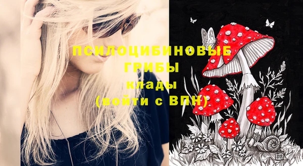 винт Вяземский