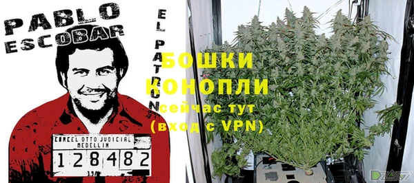 ECSTASY Вязьма